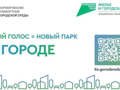 Волонтёры помогают новосибирцам проголосовать за название парка на Ине