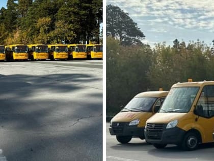 49 новых автобусов выйдут на школьные маршруты в Новосибирской области