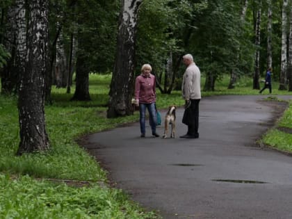 «Парк европейского уровня»: какой видят новосибирцы Берёзовую рощу