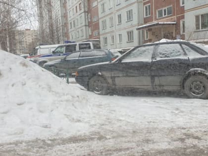 За нападение на новосибирских полицейских арестован житель Щ