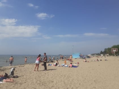 Аномально жаркую погоду на выходные пообещали синоптики жителям Бердска