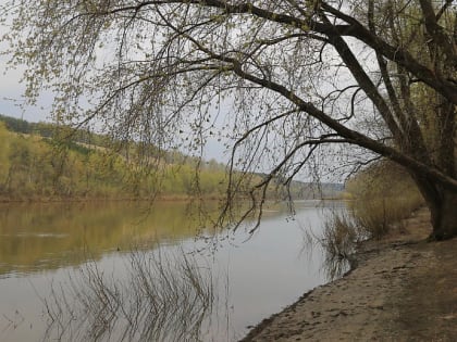 Дождевой сад, археопарк и гребной клуб появятся на берегу реки Ини