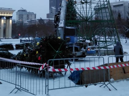 Главную городскую ёлку привезли на площадь Ленина в Новосибирске