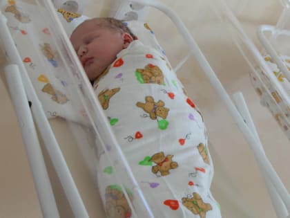 Четыре причины падения рождаемости в Новосибирске назвала профессор НГУЭУ