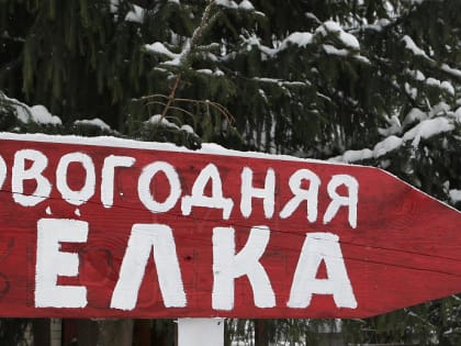 Новые инициативы в области здравоохранения в регионе