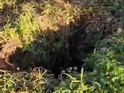 8-летняя девочка едва не захлебнулась в сливной яме под Новосибирском