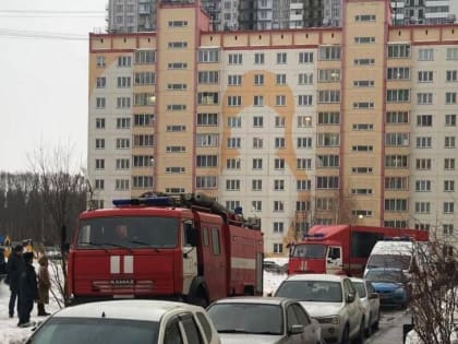 В Новосибирске загорелась квартира на десятом этаже многоэтажки