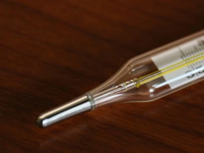 «Метапневмовирус — это обычный насморк»: симптомы болезни назвал эксперт