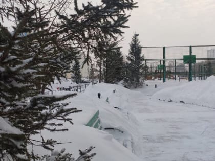 Оттепель — к похолоданию : погода на 22 февраля в Новосибирской области