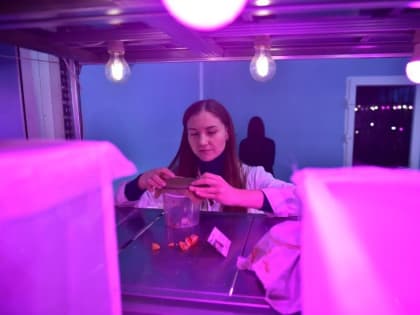 Где раки зимуют?