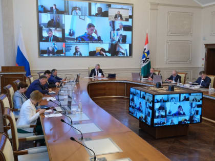 В Новосибирской области приюты для животных будут получать господдержку