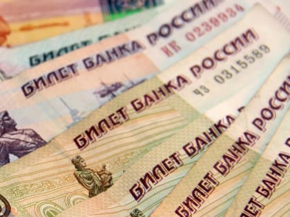 За год новосибирцы заплатили 374 миллиарда налогов