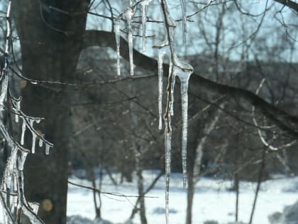 Плюсовую температуру несут в Новосибирск атлантические циклоны