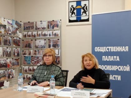 Общественная палата области проголосовала за отмену выборов мэра Новосибирска