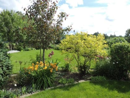 Об аномальной жаре до 17 июня в Новосибирской области предупреждают синоптики