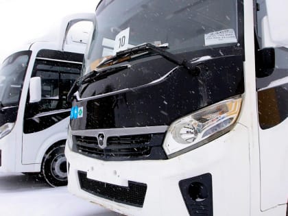 Половина пассажиров Новосибирска пользуются муниципальным транспортом