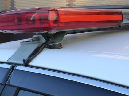 В Новосибирской области перевернулся квадроцикл: погибли двое