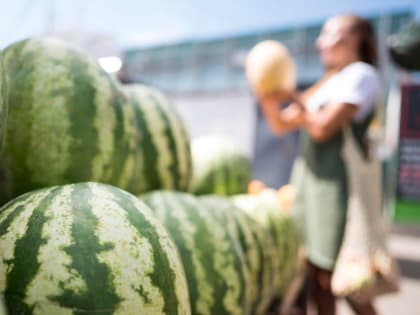 Ученые МФТИ разработали приложение для телефона, способное определять свежесть продуктов