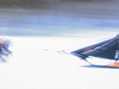 Под Новосибирском прошёл Рождественский заезд на собаках: 25 милых фото