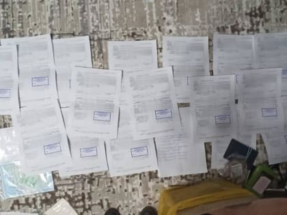 Поток незаконной миграции обеспечила жительница Новосибирска