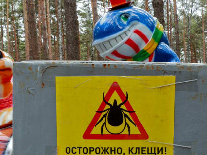 Новосибирцы переживают за «избыточное» благоустройство Соснового бора