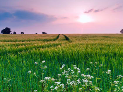 Надвигается магнитная буря: погода 17 июня в Новосибирской области