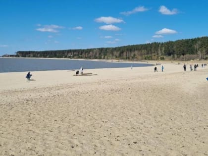 Центральный пляж Академгородка очищают от мусора