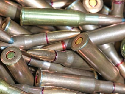 Дело об оружии из бабушкиной кладовки передали в суд в Новосибирске