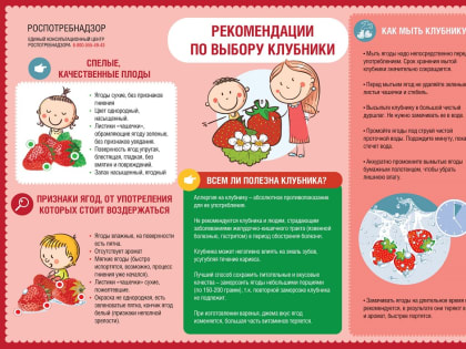 Как выбрать лучшую клубнику и черешню — советы Роспотребнадзора