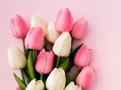 Поздравление ректора Новосибирского ГАУ с Международным женским днем