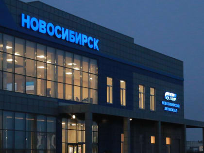 Проблемы экологии в мегаполисах