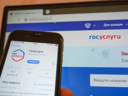 В два раза больше стало пользователей Госуслуг в Новосибирской области