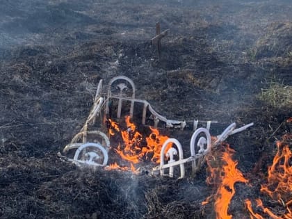 В Новосибирской области сгорело кладбище домашних животных. Кто виноват