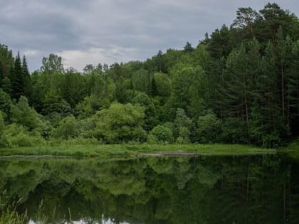 Вход в Ботсад Академгородка снова стал платным