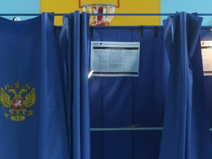 Выборы президента России: как проголосовать на дому или онлайн