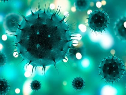 Эпидемиолог Новосёлов оценил вероятность вспышки ботулизма в Новосибирске