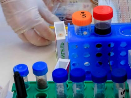 Протезы сосудов из пластика научился выращивать новосибирский студент