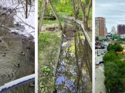 В 2023 году в Новосибирске планируют доработать концепцию водно-зеленого каркаса города