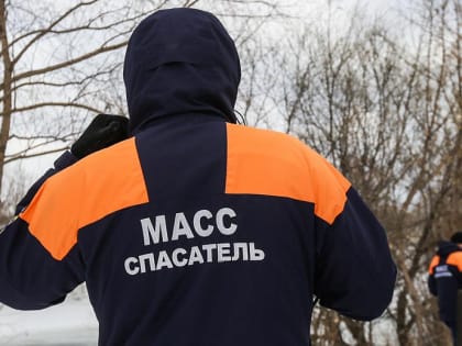 Пустую легковушку вытащили из Оби новосибирские спасатели