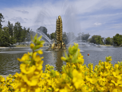 Опыт системы образования Новосибирской области будет представлен на Международной выставке-форуме «Россия»