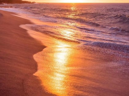 Пляж Академгородка могут передать Новосибирску за полгода