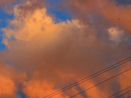 Сильнейшую за 19 лет магнитную бурю спрогнозировали астрономы