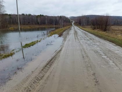 В Новосибирской области бобры лишили электричества жителей двух сел