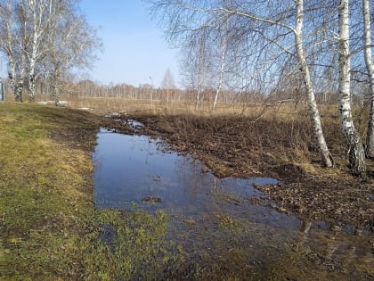 Прохладную погоду и дожди с 20 апреля прогнозируют в Новосибирской области