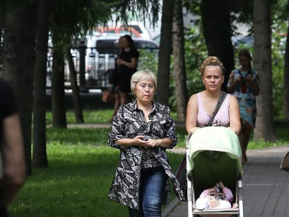 Новосибирцы стали чаще разводиться и реже рожать
