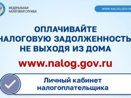 Как узнать о наличии налоговой задолженности и погасить ее