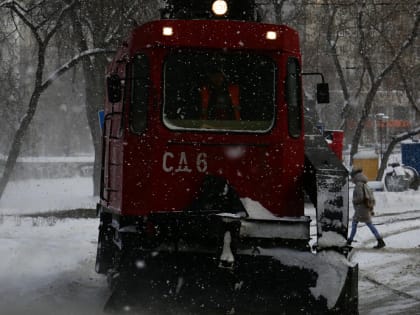 Метели обрушатся на Новосибирск в третьей декаде февраля