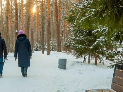 Атлантическое тепло прогреет воздух в Новосибирске до нуля