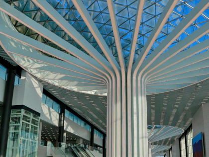 Если вы пропустили: взрыв пятиэтажки, новый аэровокзал и белые медвежата