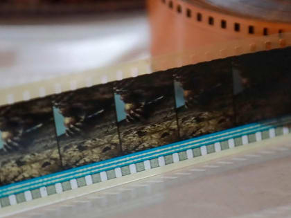 Форум регионального кинематографа «Новый вектор» пройдёт в Новосибирске